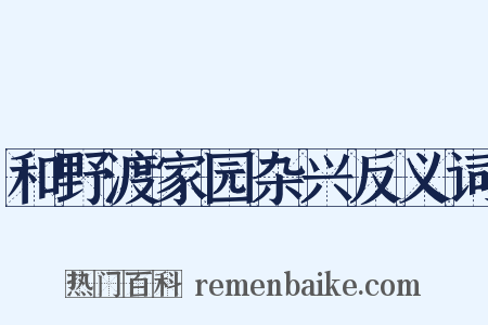 和野渡家园杂兴反义词是什么意思的图片